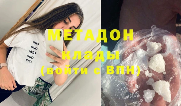 прущие грибы Арсеньев