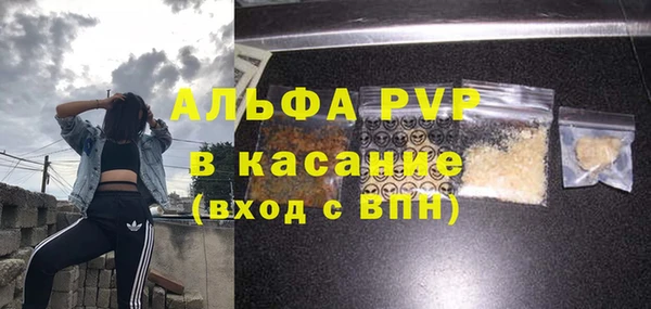 ПСИЛОЦИБИНОВЫЕ ГРИБЫ Аркадак