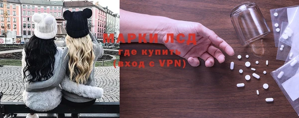 прущие грибы Арсеньев