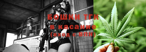 ПСИЛОЦИБИНОВЫЕ ГРИБЫ Аркадак