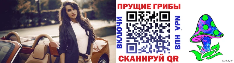 Псилоцибиновые грибы ЛСД  darknet официальный сайт  Каргат 