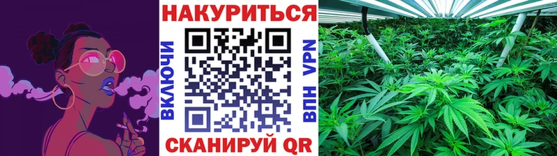 магазин  наркотиков  Каргат  МЕГА ТОР  Бошки Шишки White Widow 